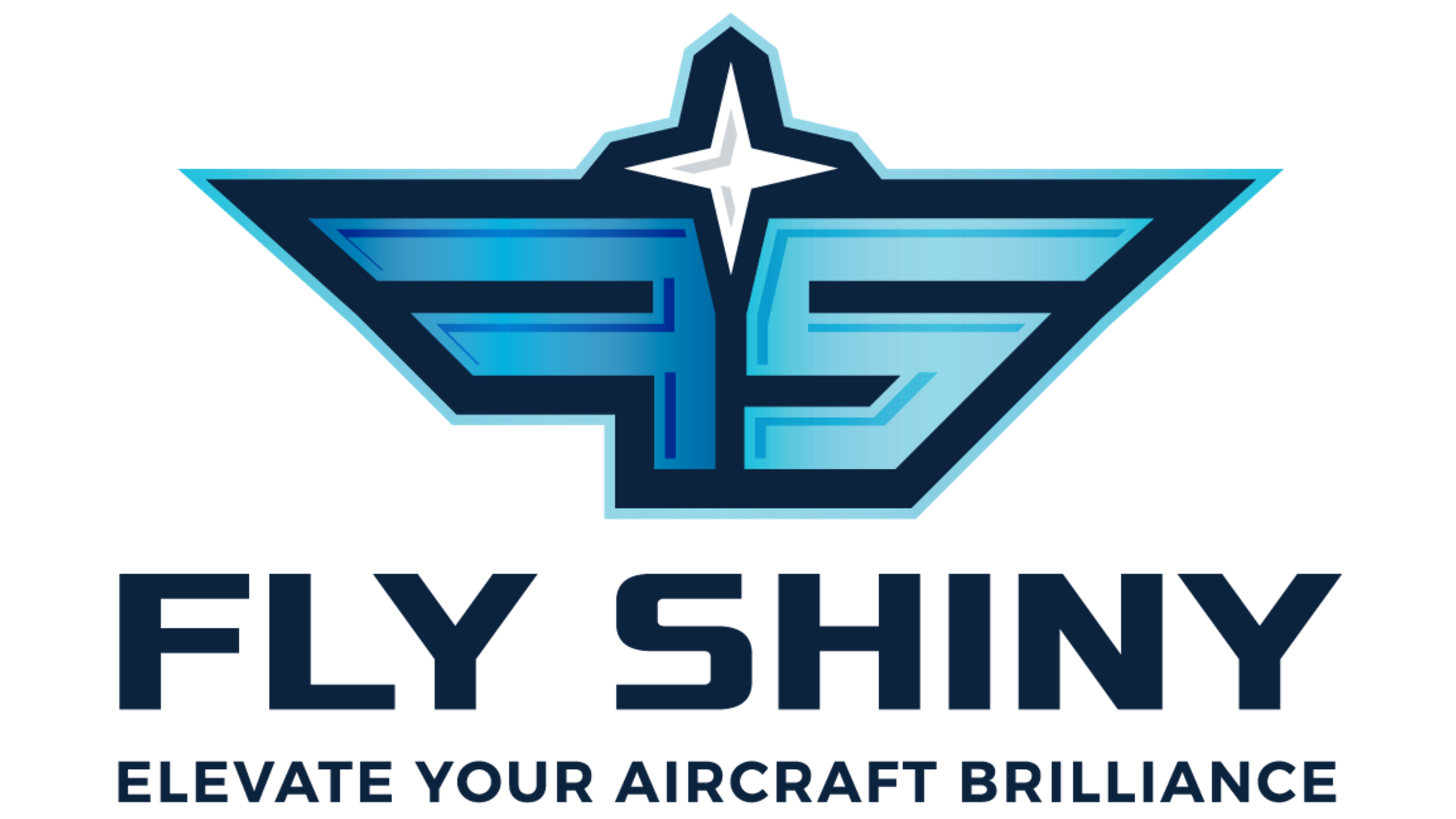 Fly Shiny